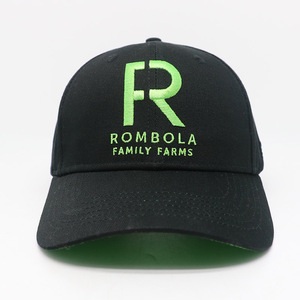 Wholesale Custom 3D Embroidery Logo Shiny Color Under Brim Sporty Hats 6 Panel Baseball Cap Casual Wear - Product Image 3