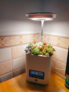Pot de fleurs intelligent avec humidificateur lumineux, pot de fleurs LED, modèle de musique, horloge pour <span class=keywords><strong>calendrier</strong></span>, vente d'usine, - Product Image 4