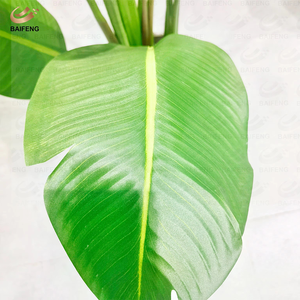 <span class=keywords><strong>Planta</strong></span> Artificial de Plástico PE Personalizada de Fábrica, <span class=keywords><strong>Planta</strong></span> en Maceta de Plátano/<span class=keywords><strong>Canna</strong></span>, Decoración Interior/Exterior, Ecológica, Perenne y Duradera - Product Image 3