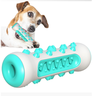 Jouet à mâcher pour chien en TPR résistant aux morsures, bâton à mâcher pour chiens de petite/moyenne taille avec design Teddy Golden Hair