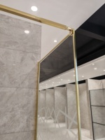 Ventes directes d'usine Neo Angle Verre trempé Aluminium Pivot Semi-sans cadre Cabine de douche