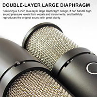 Microphone à condensateur à large diaphragme haute performance TNH P220, équipement de studio pour l'enregistrement, le streaming en direct et la diffusion