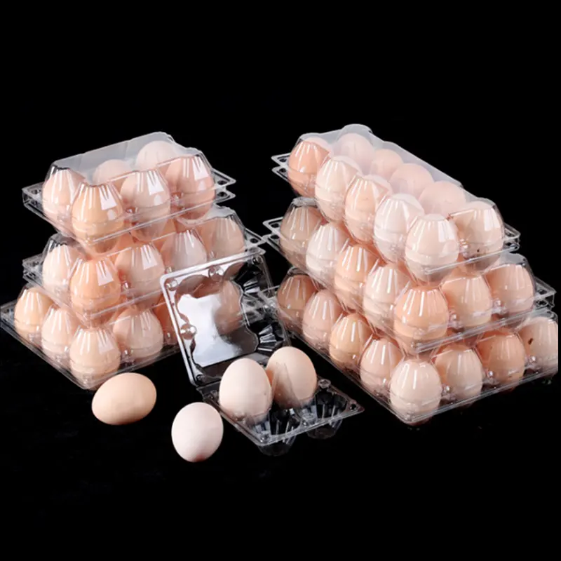 Atacado 10 12 15 18 20 24 30 Buracos Limpar Quail Egg Tray Pet Transparente Retângulo Embalagem Para Ovo De Codorna