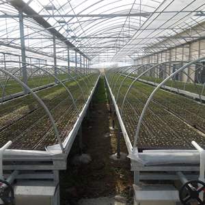 Mesa Hidropónica para Semilleros, Mesa <span class=keywords><strong>de</strong></span> Cultivo Flotante <span class=keywords><strong>de</strong></span> 4x8, Mesa <span class=keywords><strong>de</strong></span> Flujo y Reflujo - Product Image 1