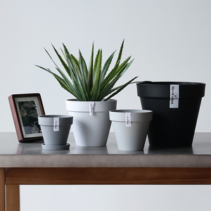 <span class=keywords><strong>Macetas</strong></span> <span class=keywords><strong>de</strong></span> Plástico y Jardineras <span class=keywords><strong>de</strong></span> Fábrica, <span class=keywords><strong>Macetas</strong></span> <span class=keywords><strong>de</strong></span> Flores <span class=keywords><strong>de</strong></span> Alta Calidad, <span class=keywords><strong>Diseño</strong></span> Moderno <span class=keywords><strong>para</strong></span> <span class=keywords><strong>Plantas</strong></span>, Maceta <span class=keywords><strong>de</strong></span> Plástico Minimalista - Product Image 5
