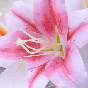 Cabeza <span class=keywords><strong>de</strong></span> Flor <span class=keywords><strong>de</strong></span> Lirio Artificial Realista para Decoración <span class=keywords><strong>de</strong></span> Bodas, Paredes, Navidad, Halloween, <span class=keywords><strong>Arreglos</strong></span> Florales, Hecha <span class=keywords><strong>de</strong></span> Látex, Venta Directa <span class=keywords><strong>de</strong></span> Fábrica - Product Image 5