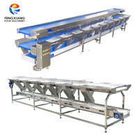 Nastro Trasportatore Alimentare Personalizzato a 2/3 Strati in SUS304 per Linee di Produzione Industriali, Dimensioni e Strati Personalizzabili