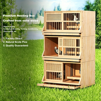 Cages d'élevage de pigeons en bois professionnelles OEM/ODM. Solutions personnalisées pour la course et l'association des voitures. Exportation directe d'usine.