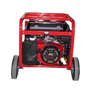 BG6500GFKC Generator Gas Tenaga Surya, Dukungan Teknis Kuat, Kepala Generator Daya 5,5 KW Generator Bensin