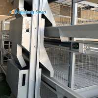 Équipement Professionnel pour Élevage de Volaille, Cages Automatiques pour Cailles et Canards, Vente en Gros de Chine