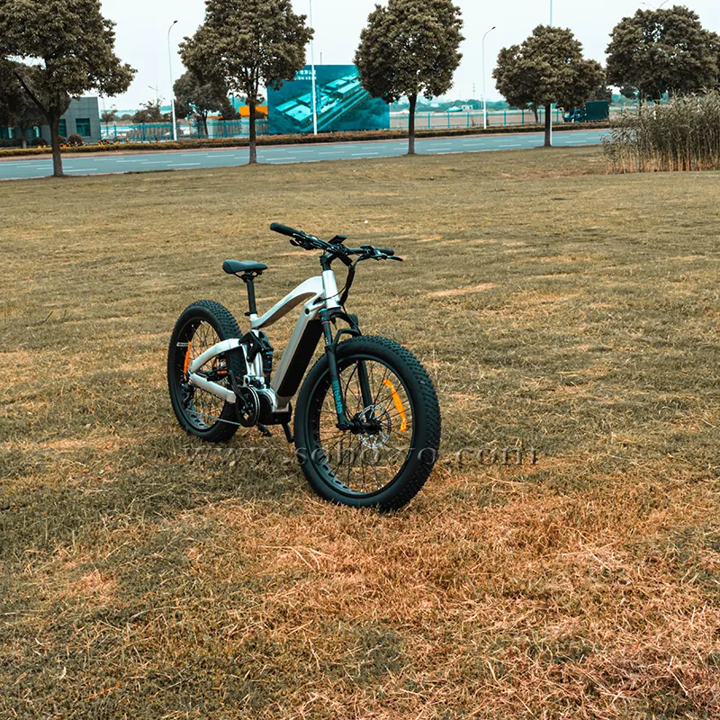 High end full suspension top sale high quality 1000W mid motor bicycle electric bike