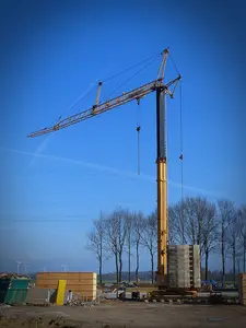 XGT7018-10S tower crane mast ladder diecast tower crane Construction Equipment Cranes
