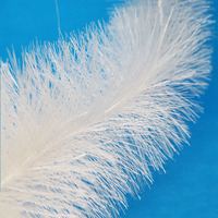 Biofilter Plastik Lunak Elastis yang Digunakan di Tangki Aerobik untuk Pengolahan Air Biokimia, Pengolahan Limbah Biologis, Media Filter Bio