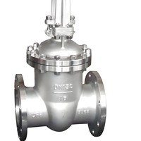 Válvula de Compuerta de Acero Fundido de Alta Calidad con Vástago Ascendente y Asiento Resiliente, con Acabado de Acero Inoxidable 304, Directo de Fábrica