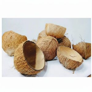 Coquille de noix de coco brute tendance pour la décoration artisanale et la fabrication de charbon de bois - Product Image 1