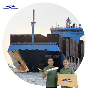 Aprovisionamiento gratuito de China a los Países Bajos Reino Unido Francia Alemania Agente de envío a EE. UU. Mem1 Ont8 Ftw1 Canadá México LAS1 - Product Image 1