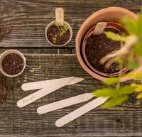 Étiquettes de plantes en bois Ensemble de 40 marqueurs de jardin écologiques pour plantes en pot
