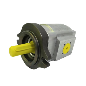 Bomba Hidráulica Original Serie EIPS2 EIPS2-019RA04-11 S111 Bomba de Engranajes para Máquina de Moldeo por Inyección - Product Image 4