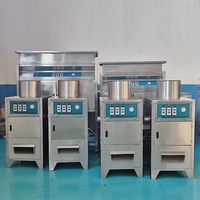 Kls Industriële Knoflookverwerkingsproductielijn Automatische Elektrische Schil En Aparte Knoflookmachine
