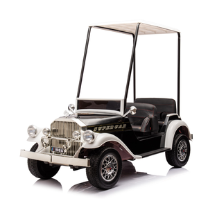 Cheap Price Vintage Racing Mini Electric Go Kart for Adult - Product Image 1