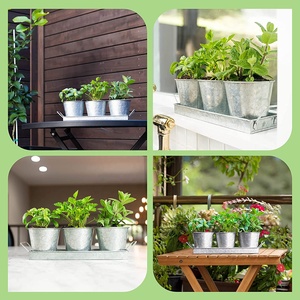 Pots d'herbes pour plantes d'intérieur, 12 pièces, avec plateau, culture <span class=keywords><strong>de</strong></span> herbes fraîches pour la maison - Product Image 4