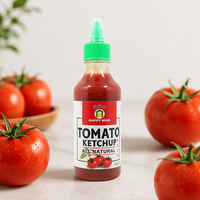 Happy Mum Factory 250g Bouteille souple Ketchup frais et sucré Sauce tomate