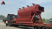 Chaudière à bois verticale à circulation naturelle Taishan, haute efficacité, génération de chaleur biomasse