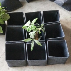 Sacchetto quadrato moderno per piantare Bonsai vegetali per piantare alberi - Product Image 2