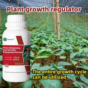 Panax <span class=keywords><strong>Notoginseng</strong></span> Rhizome Agent de charge racine épaisse et forte avec un taux d'absorption élevé résistant à la pourriture des racines Rayons UV Type de compost - Product Image 4