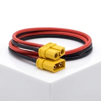 Connecteur mâle-femelle LEMON XT30 XT60 10AWG 12AWG 600V en cuivre étamé 2P pour la charge de batterie de voiture