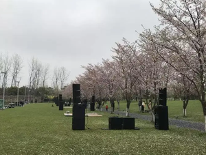 רמקול אודיו מקצועי קטן דו כיווני אקטיבי מותאם אישית רמקולים מערכת מערך קווים קומפקטי במיוחד לכנסייה - Product Image 6