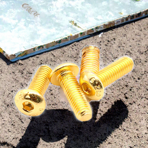 ISO規格 チタンメッキ クラス4.8 & 6.8 丸頭六角穴付きボルト アレンボルト メトリック/インチ チタンボルト M6 - Product Image 3