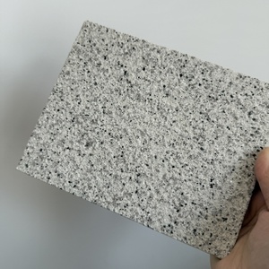 Système de revêtement <span class=keywords><strong>mural</strong></span> extérieur EIFS Isolation et décoration des murs extérieurs Panneau intégré en silicate de calcium 20-50 mm - Product Image 3