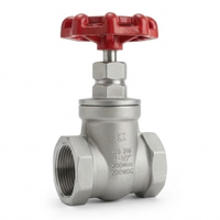 Vanne à bille en acier inoxydable CF8 CF8M 150LB filetée NPT BSPP à commande par levier pour pipeline
