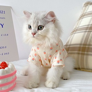 <b>Cat</b> <b>Clothes</b> Vest Summer Breathable Yellow Pink For Ragdoll British Shorthair Kitten Pet Apparel - Product Image 1