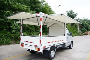 Camiones Personalizados para Venta de Comida Callejera, Triciclo, Mini Camión, Camioneta con Volante a la Derecha - Product Image 3