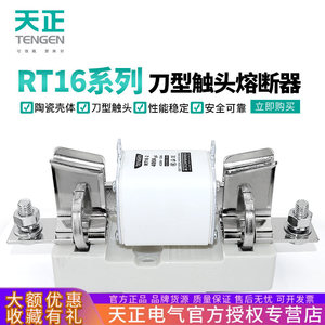 Fusible Tengen Rt16 16A 100A 400A Gg Ac500V 120Ka Axial de Bajo Voltaje, Cerámico, de Acción Rápida - Product Image 4
