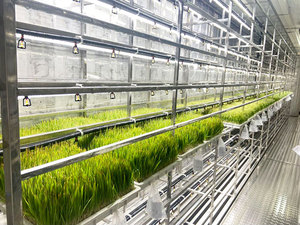 Mô hình mới hydroponic cỏ Chồi/Hạt Giống Nảy mầm Máy/Màu xanh lá cây thức ăn gia súc làm lúa mạch chăn nuôi thức ăn gia súc container - Product Image 4