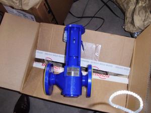 Electrodo de Nivel Conductivo GESTRA NRGS 16-1, L=1000mm para Calderas de Vapor, Protección contra Bajo Nivel de Agua - Product Image 6