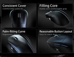 Беспроводная игровая мышь ZORNHER Ergoflux9 Ember Feather Black с легким весом, сменными батареями и тремя режимами работы, эргономичная - Product Image 2