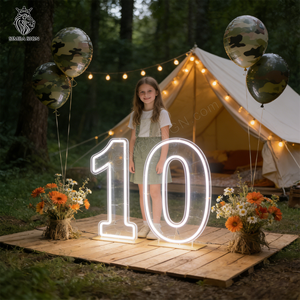 Numéros LED néon en acrylique de 2 et 3 pieds, Décoration d'anniversaire 10 ans, Enseigne néon pour décorations de fêtes d'anniversaire 18, 2, 15, 21, 10 ans - Product Image 1