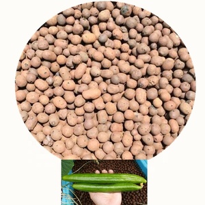 Aquaponics Hydroponic Lightweight Porous Expanded <strong>Clay</strong> <strong>Pebbles</strong> Grow Media - Product Image 1