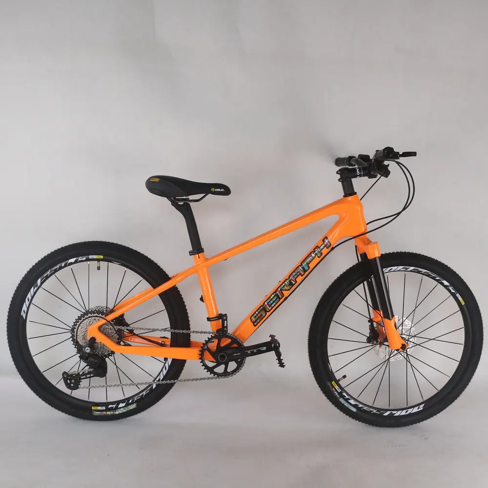 24er karbon komple dağ bisikleti 1*11 hız Seraph marka özel boya