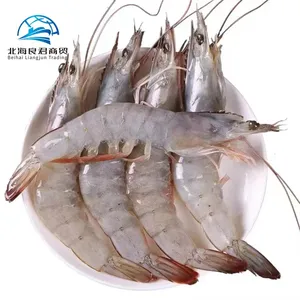 Hot Sale High Quality fresh frozen natural frozen fresh live seafood vannanmei shrimps