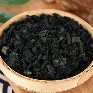 Wakame rumput laut kering rumput laut Undaria pinnatifida kering