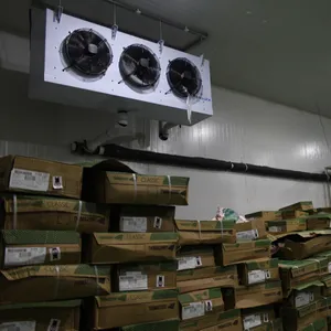China explosão armazenamento caminhada na refrigeração fria rápida salas congelantes