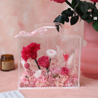 Coffret cadeau Saint Valentin Carnation Dianthus caryophyllus valise préservée Fleurs séchées décoratives Ornements d'intérieur