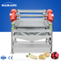 100 Stoom Elektrische Automatische Voedselveilige RVS Blancheringslijn voor Fruit en Groenten Voorbehandelingsapparatuur Machine