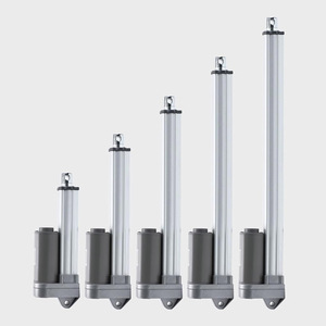 Bán Hot 12V động cơ DC tuyến tính thiết bị truyền động kinh tế Heavy Duty tốc độ cao Thiết bị truyền động điện với nam châm vĩnh cửu xây dựng - Product Image 1