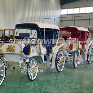 Vente directe d'usine : calèche de mariage électrique ou à chevaux à 4 roues, 4 à 6 places, pour visites touristiques - Product Image 4